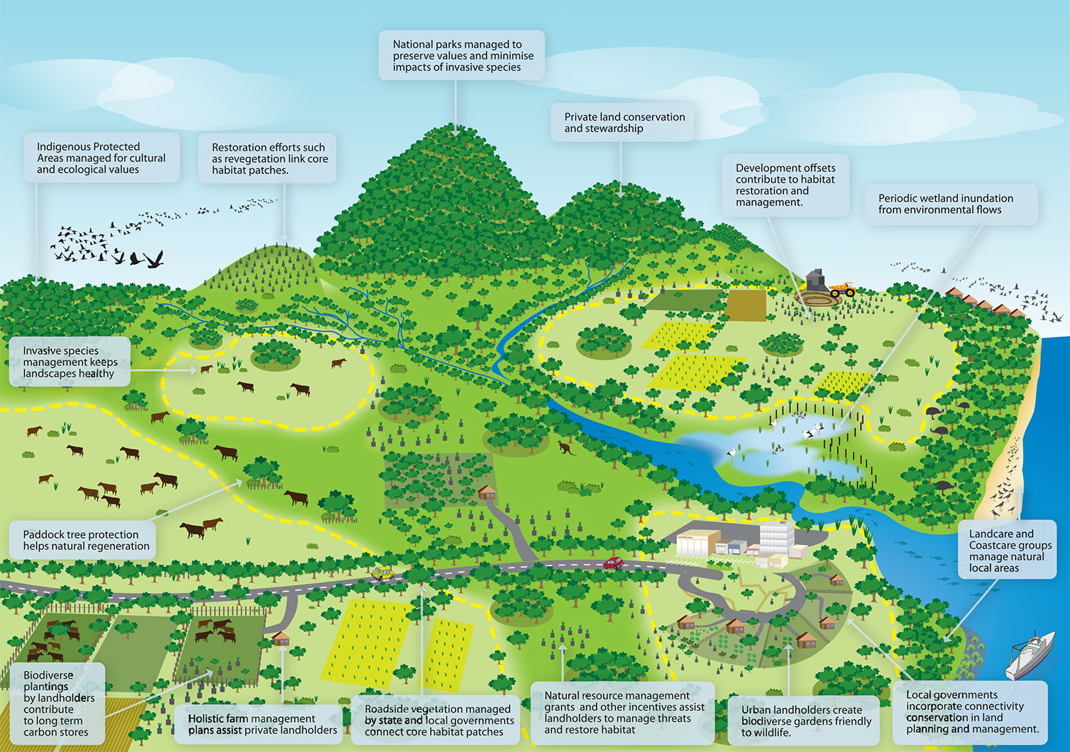 National Wildlife Corridor